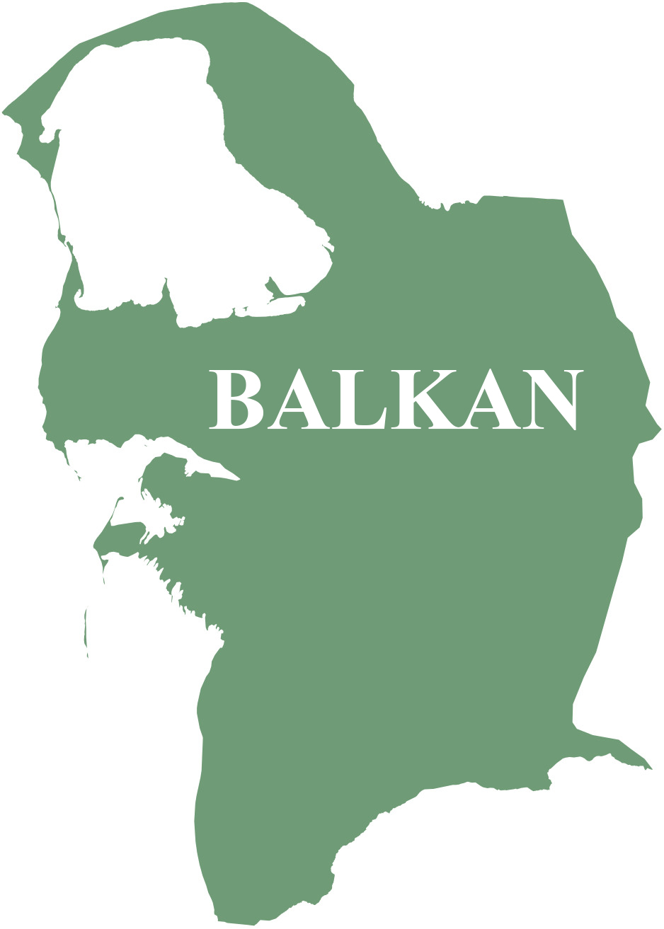 Balkan welaýatynyň umumybilim we ýörite bilim edaralary barada maglumat - 169 sany