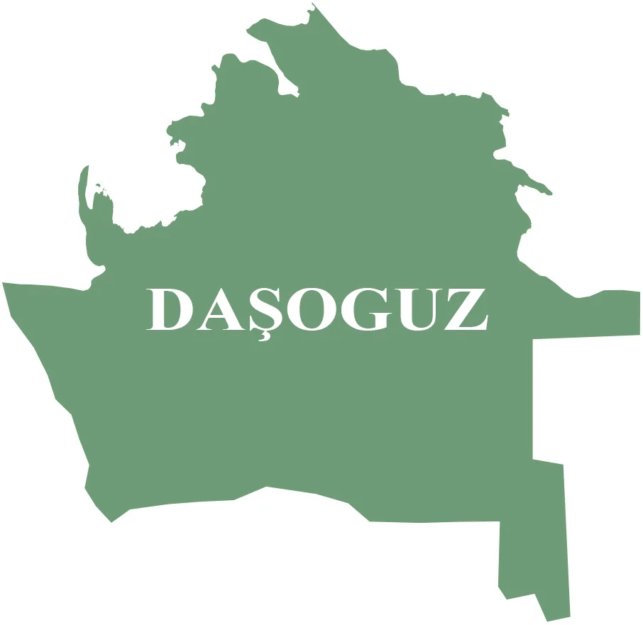 Daşoguz welaýat mekdebe çenli çagalar edaralary barada maglumat - 115 sany