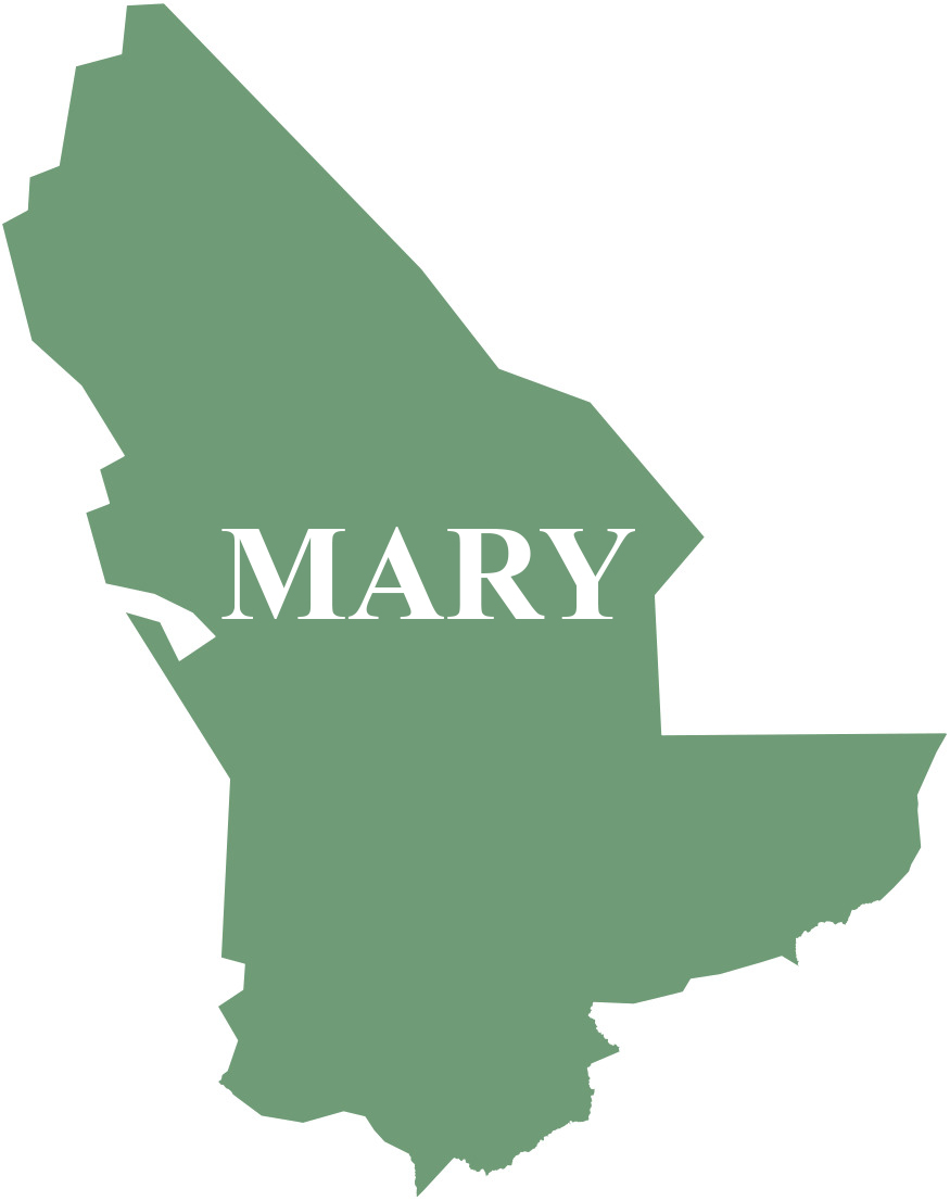 Mary welaýatynyň umumybilim we ýörite bilim edaralary barada maglumat - 405 sany