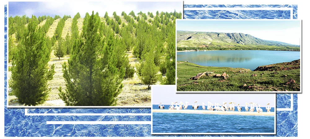 Daş­ky gur­şa­wy go­ra­mak­da tä­ze müm­kin­çi­lik­ler